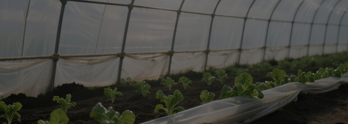 Daglig användning Kemikalier